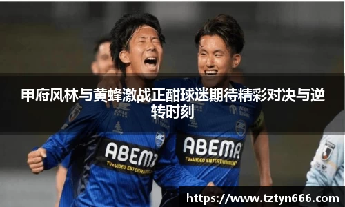 甲府风林与黄蜂激战正酣球迷期待精彩对决与逆转时刻